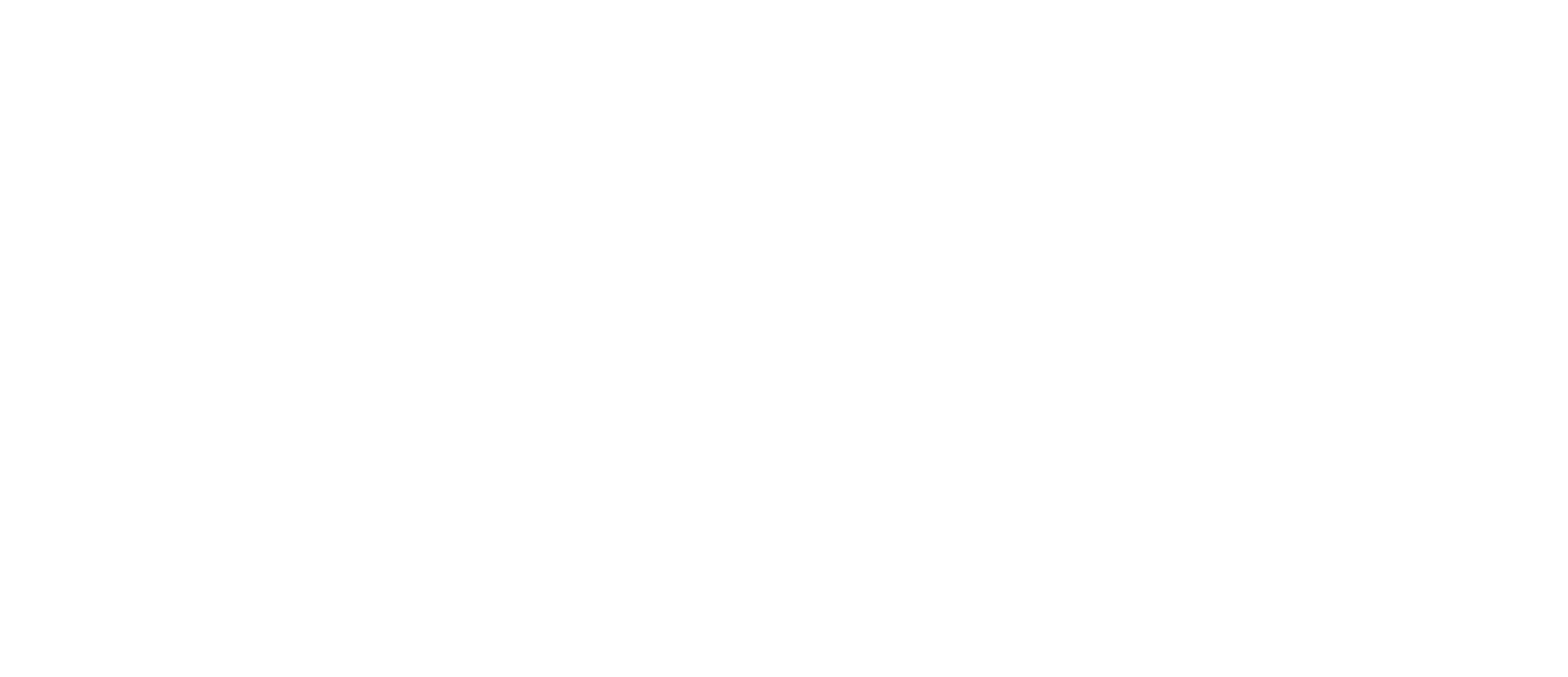 tinamax